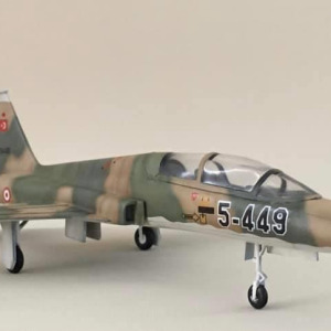 Northrop F-5 B Freedom Fighter PM Model Demonte Plastik Uçak Maket Kiti