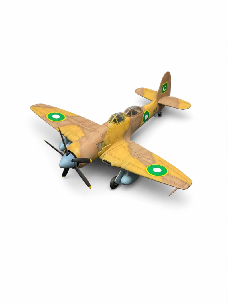 MONTAJLI + BOYALI HAWKER SEA FURRY T-61