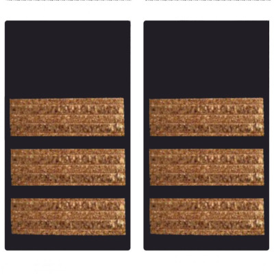 II. Pilot Sarı Dokuma Apolet